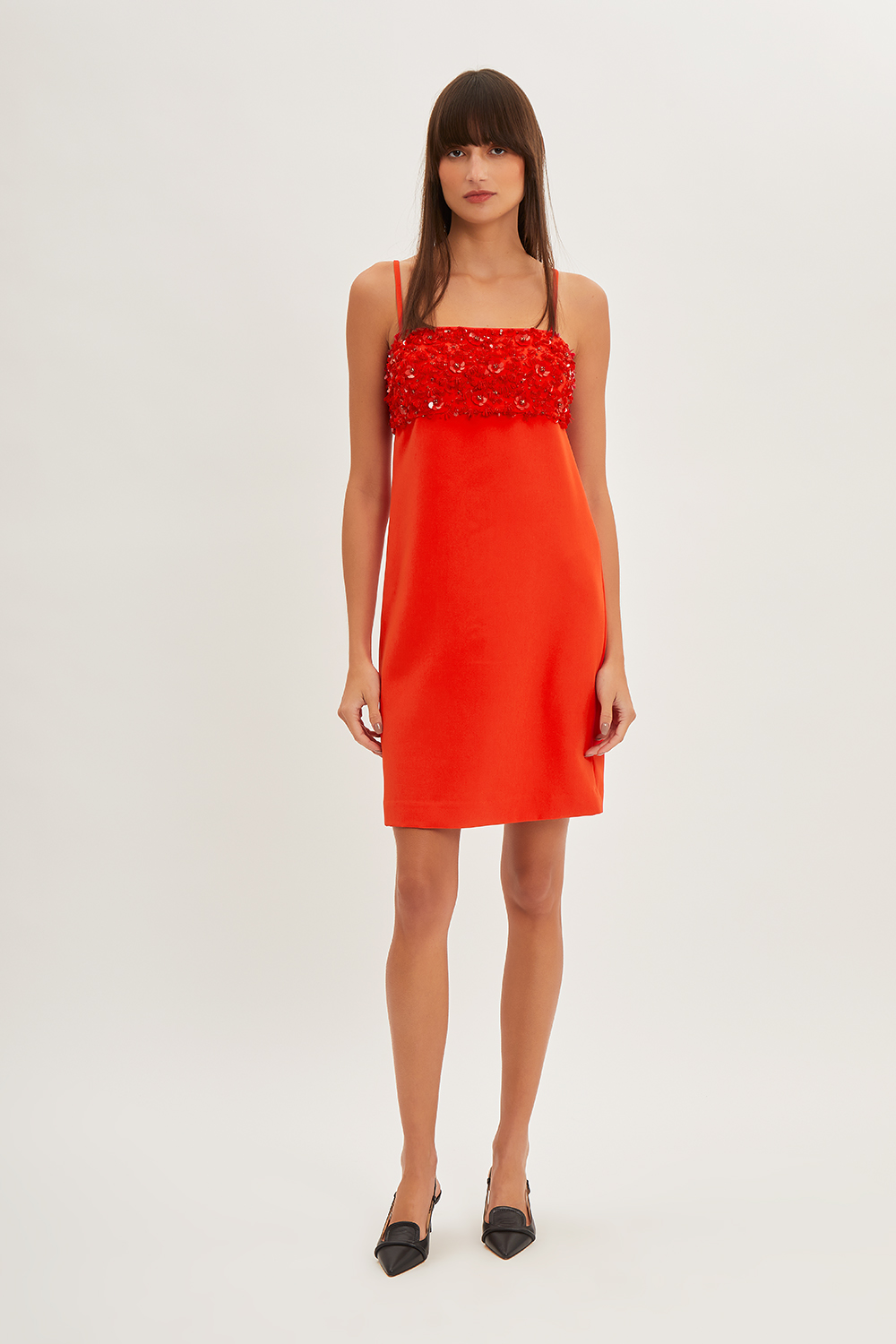 PUPPYD721922_019_S24,alt-1