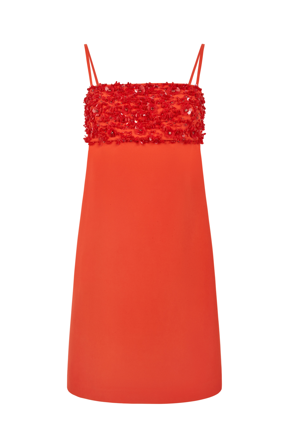 PUPPYD721922_019_S24,front